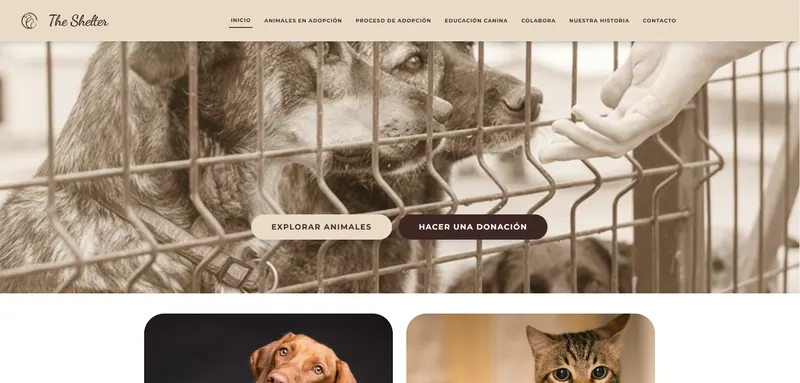 Página de inicio de The Shelter, plataforma de adopción de perros y gatos